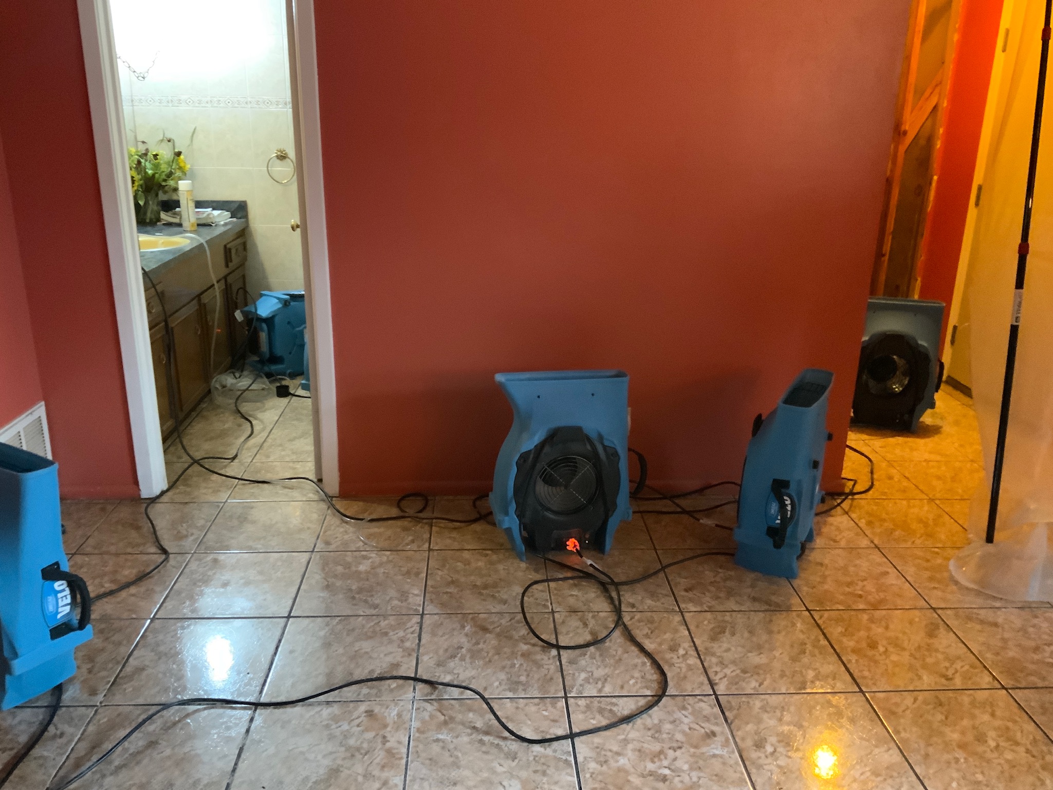 Why You Should Always Address Water Damage Right Away