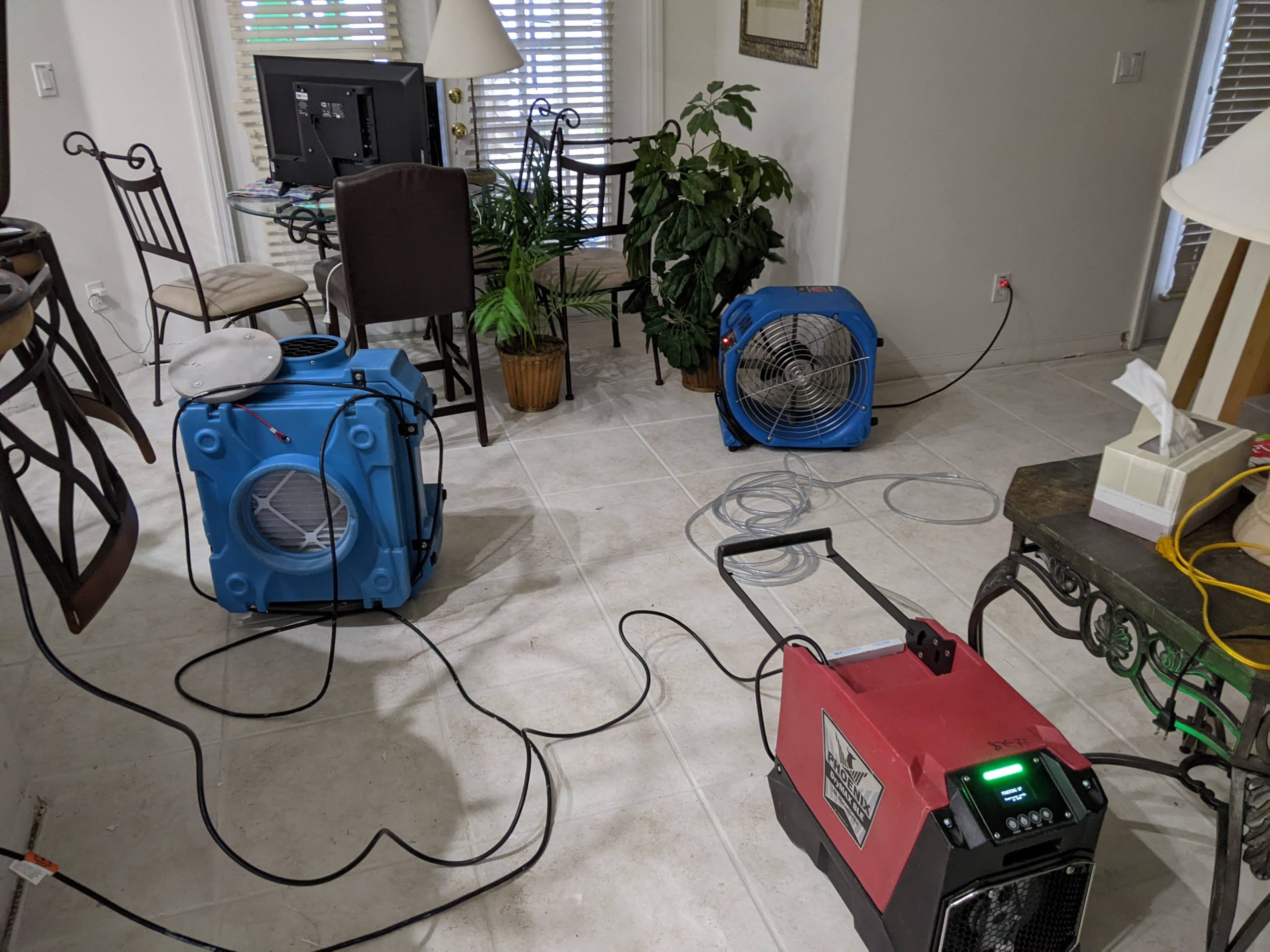 What Are the Common Concerns with Water Damage - Dry Me Out