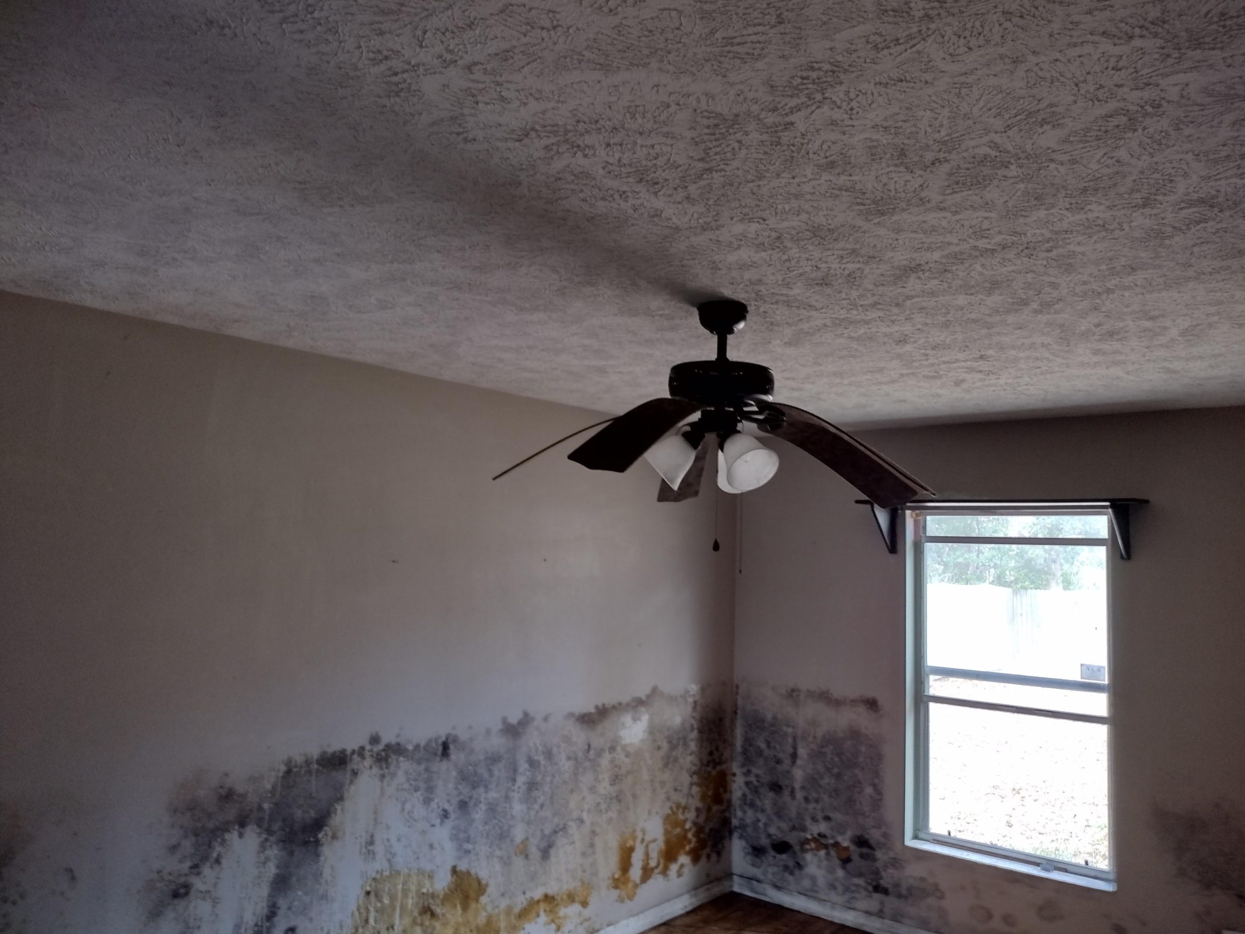 Common Places Where Mold Grows Indoors - Dry Me Out