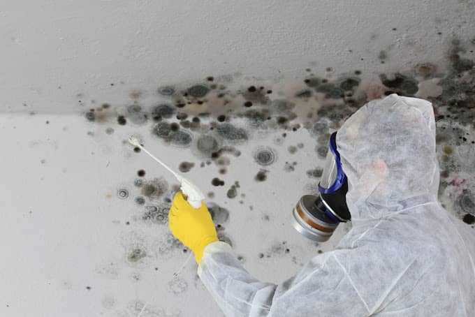 Mold Remediation in Tampa, FL