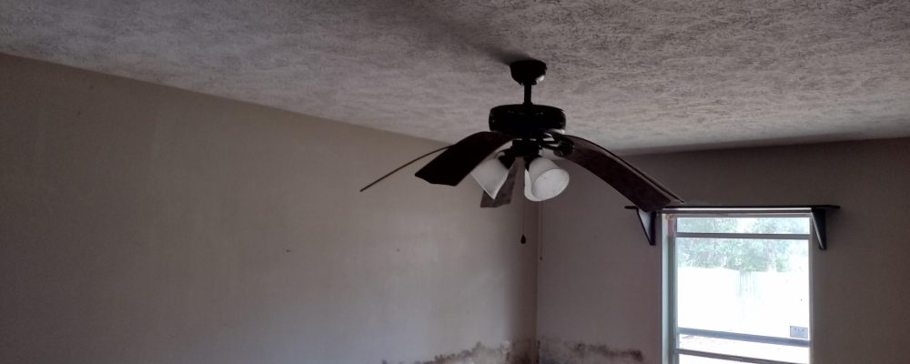 Common Places Where Mold Grows Indoors - Dry Me Out