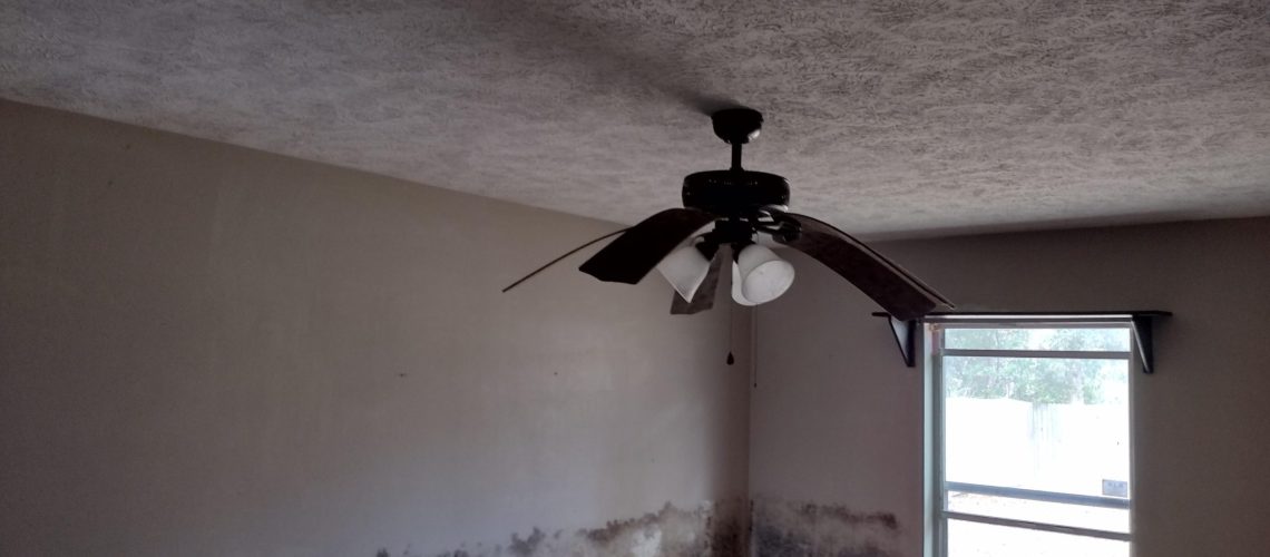 Common Places Where Mold Grows Indoors - Dry Me Out