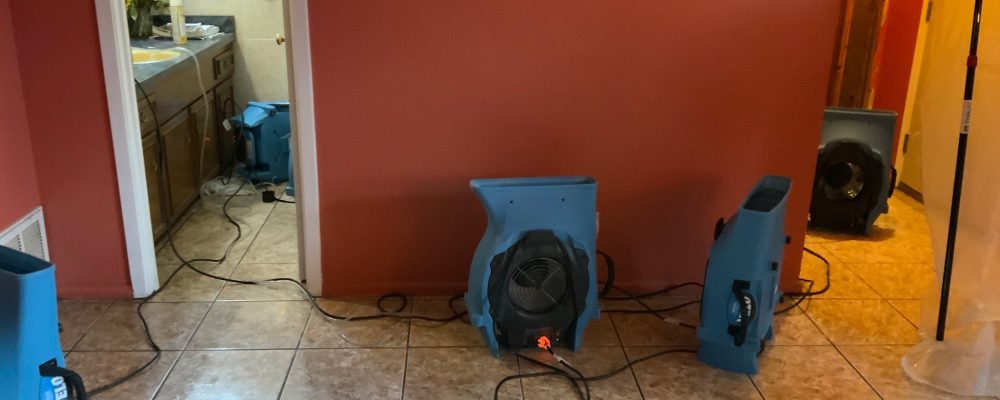Why You Should Always Address Water Damage Right Away