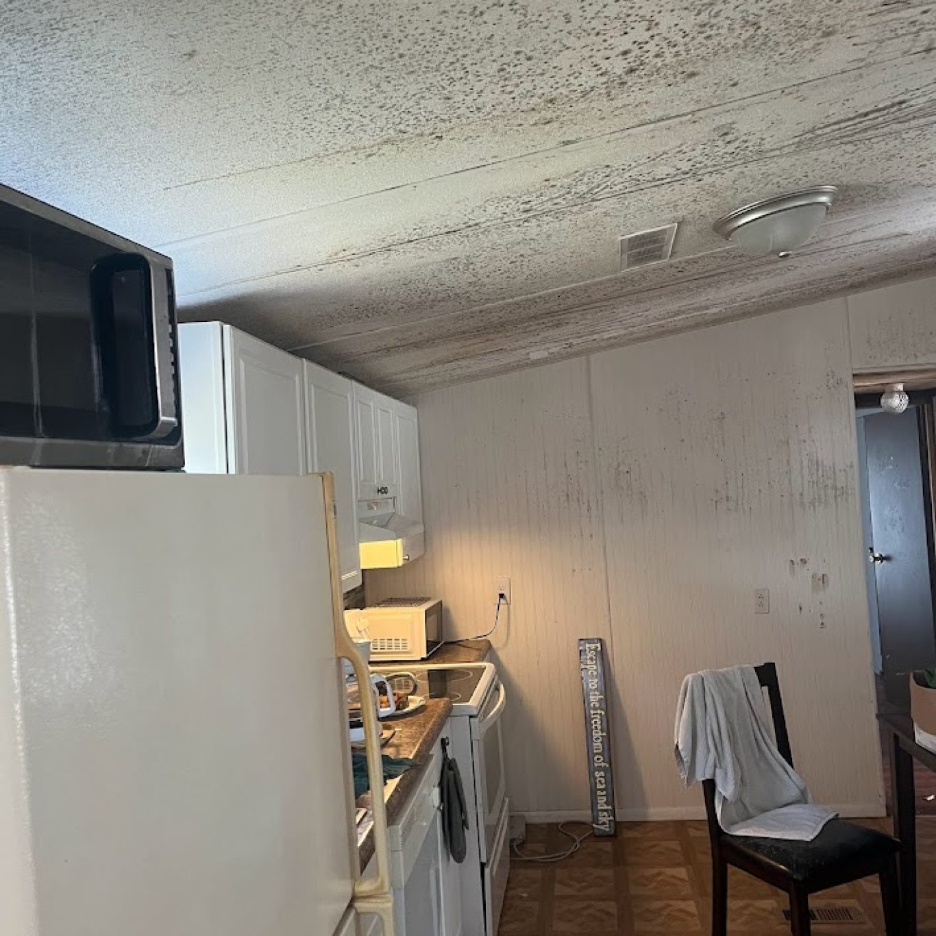 Restoration in progress by 1-800 Dry Me Out experts