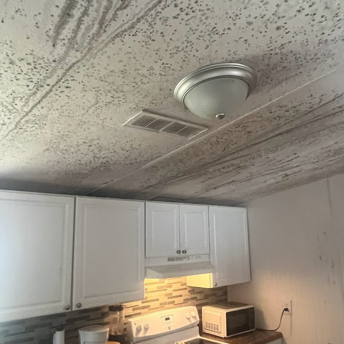 Air movers and dehumidifiers from 1-800 Dry Me Out