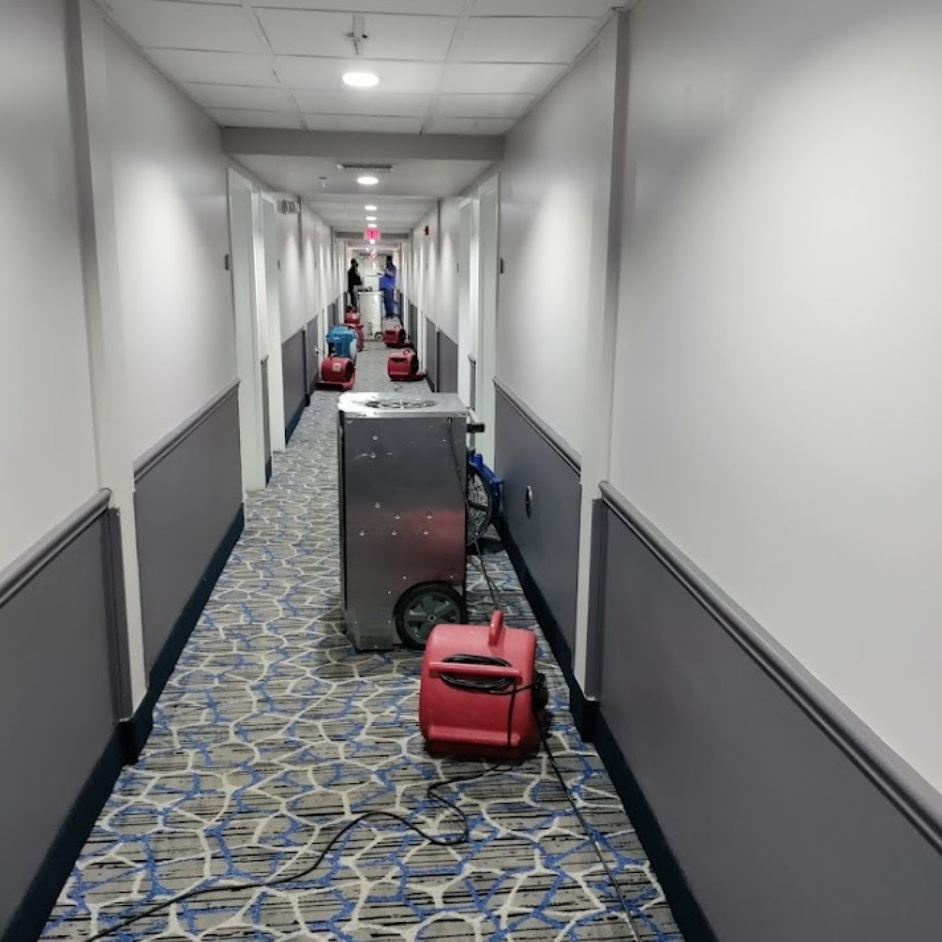 1-800 Dry Me Out performing water extraction