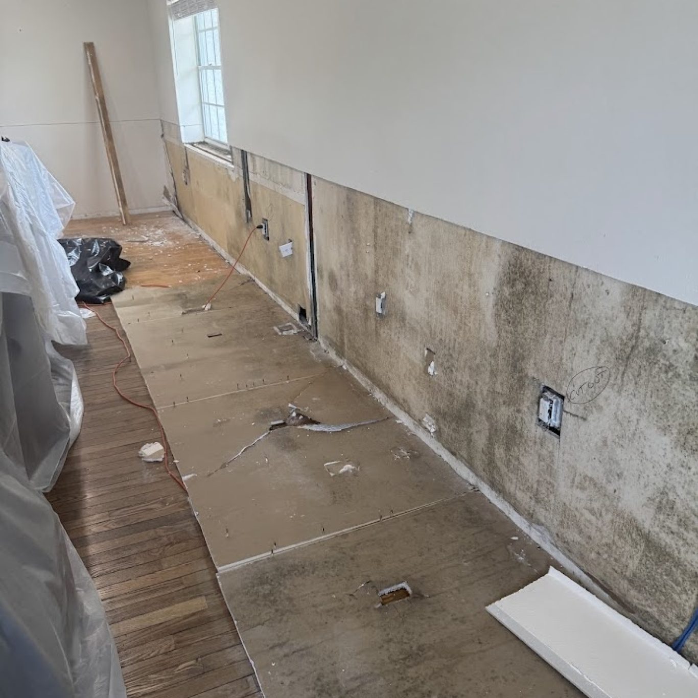 Drywall mold repair 1-800 Dry Me Out