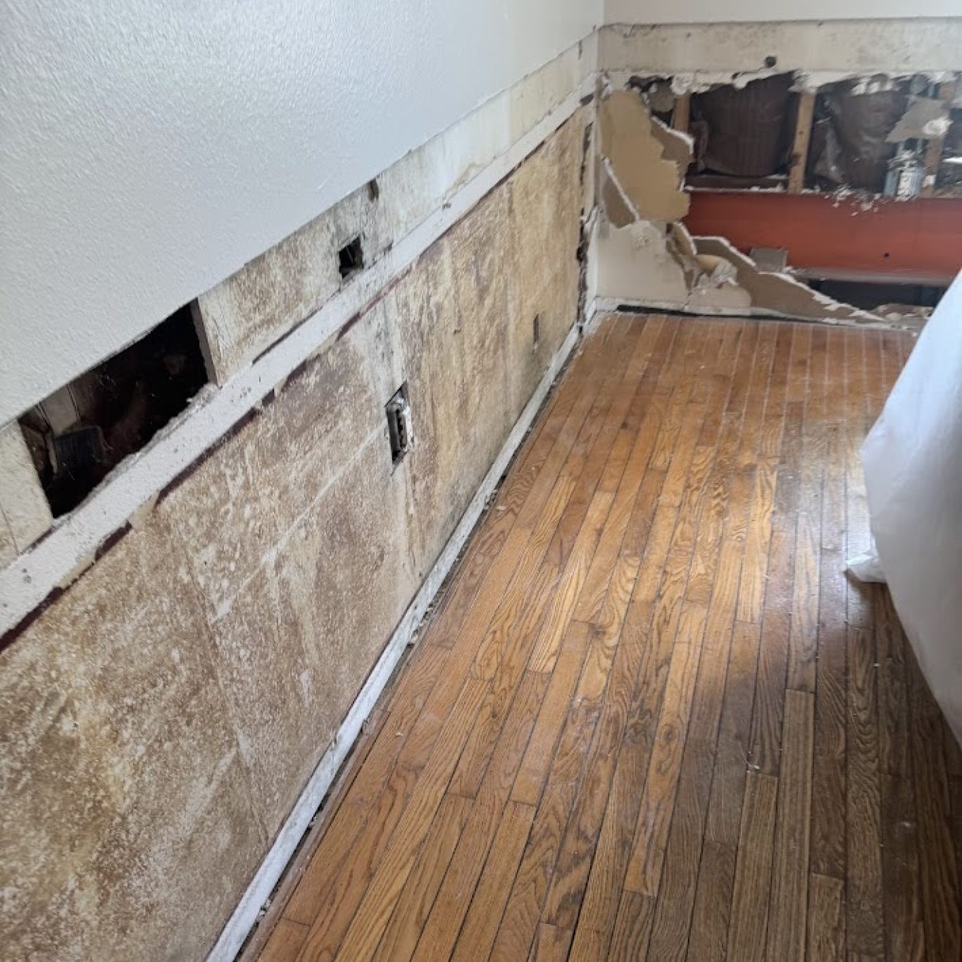 Skilled technician from 1-800 Dry Me Out assessing water damage with advanced tools in a Lutz, FL home