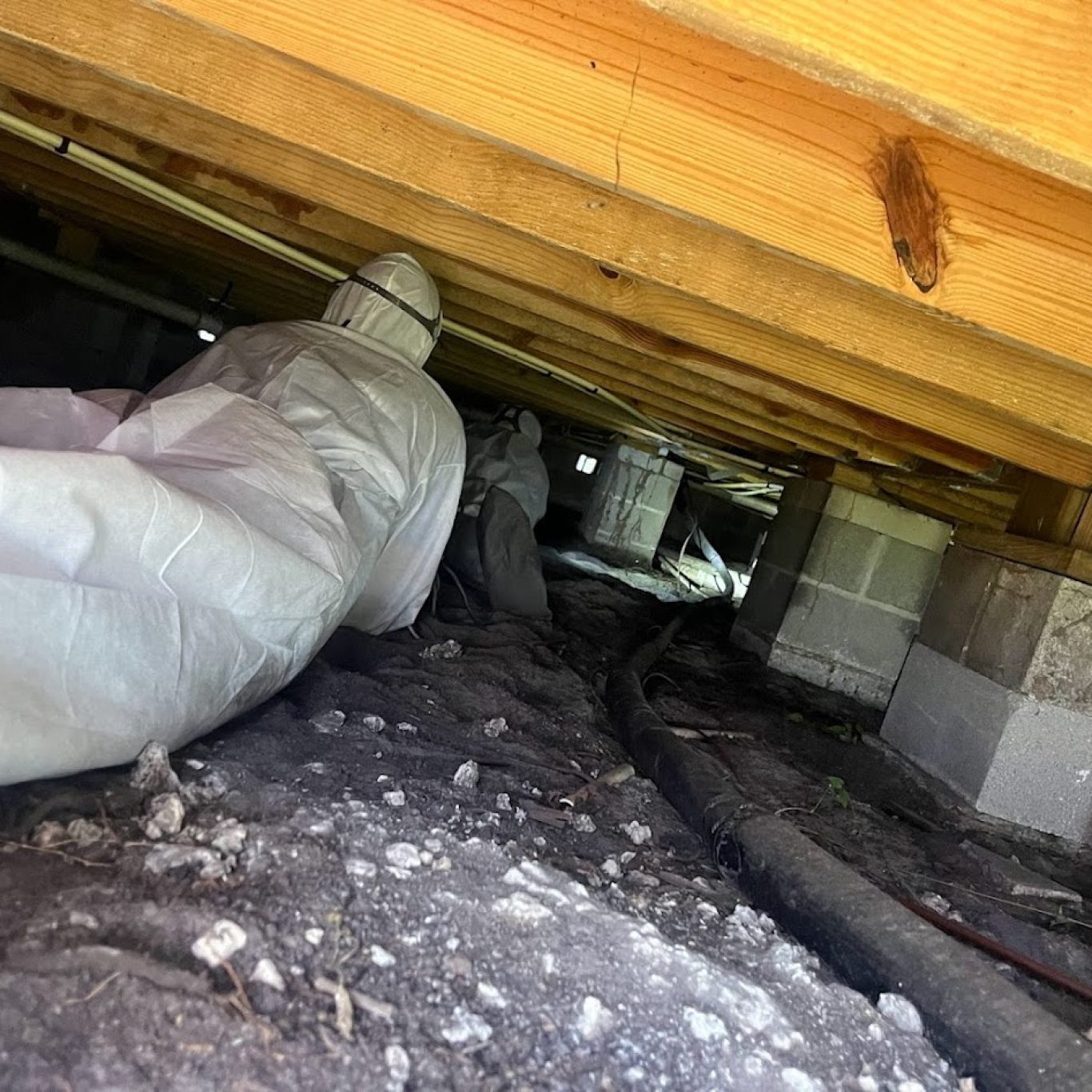 Mold remediation equipment used by 1-800 Dry Me Out