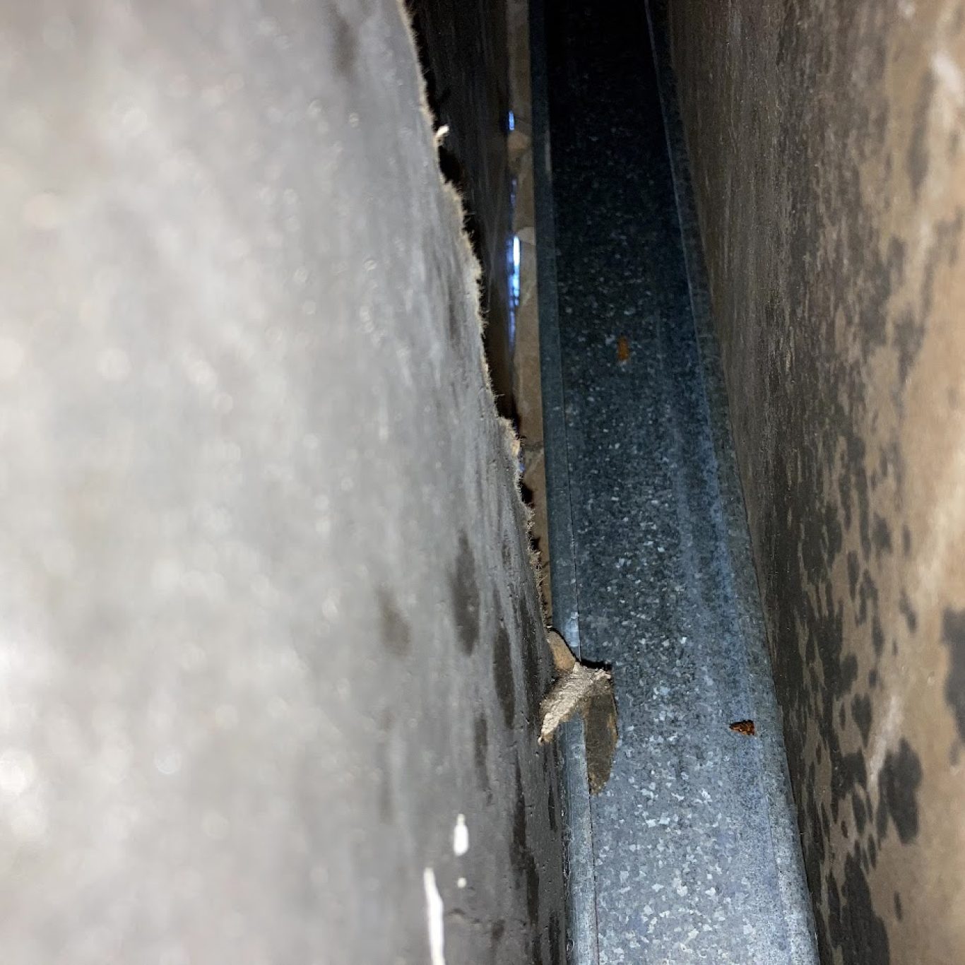 1-800 Dry Me Out post-remediation clearance