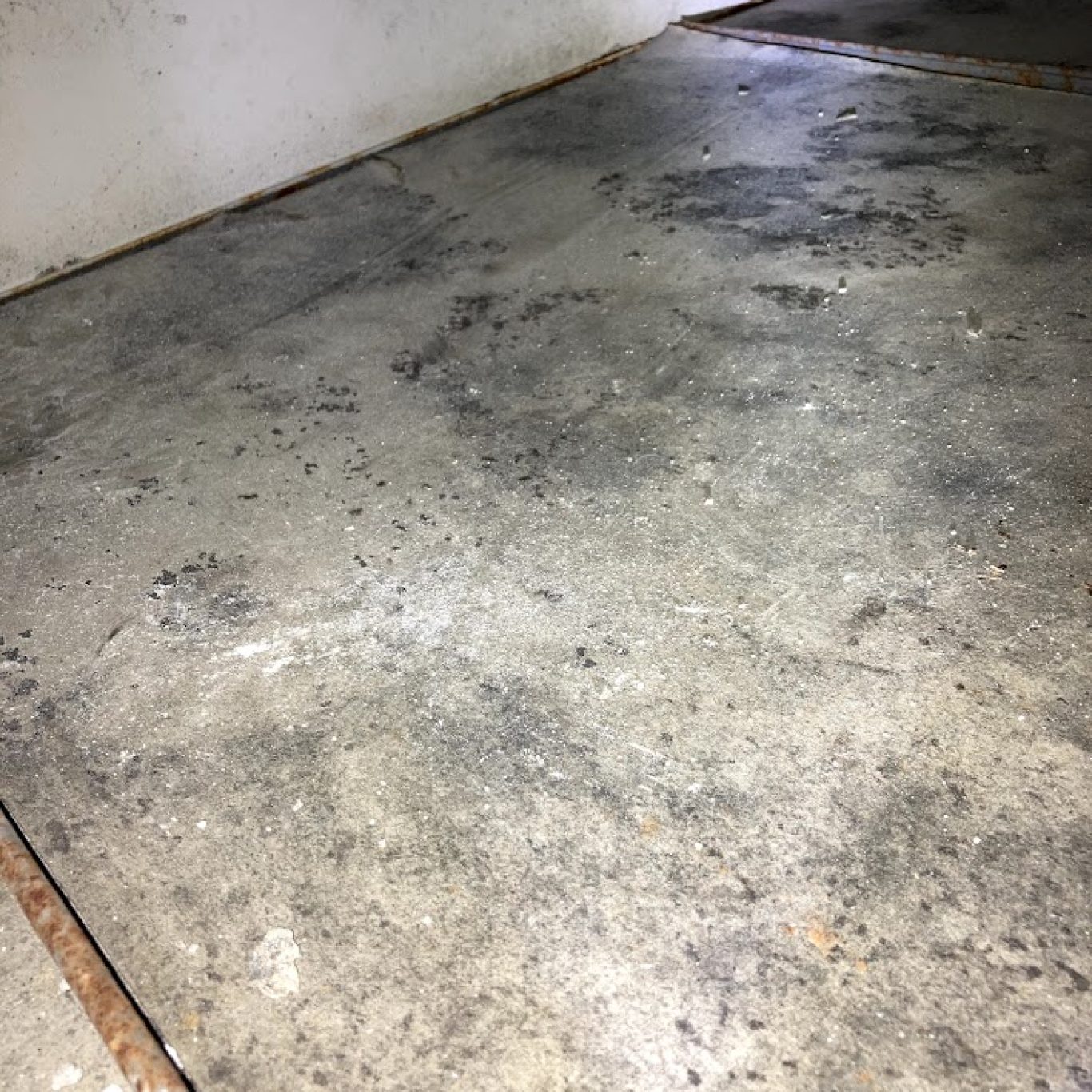 1-800 Dry Me Out mold remediation process