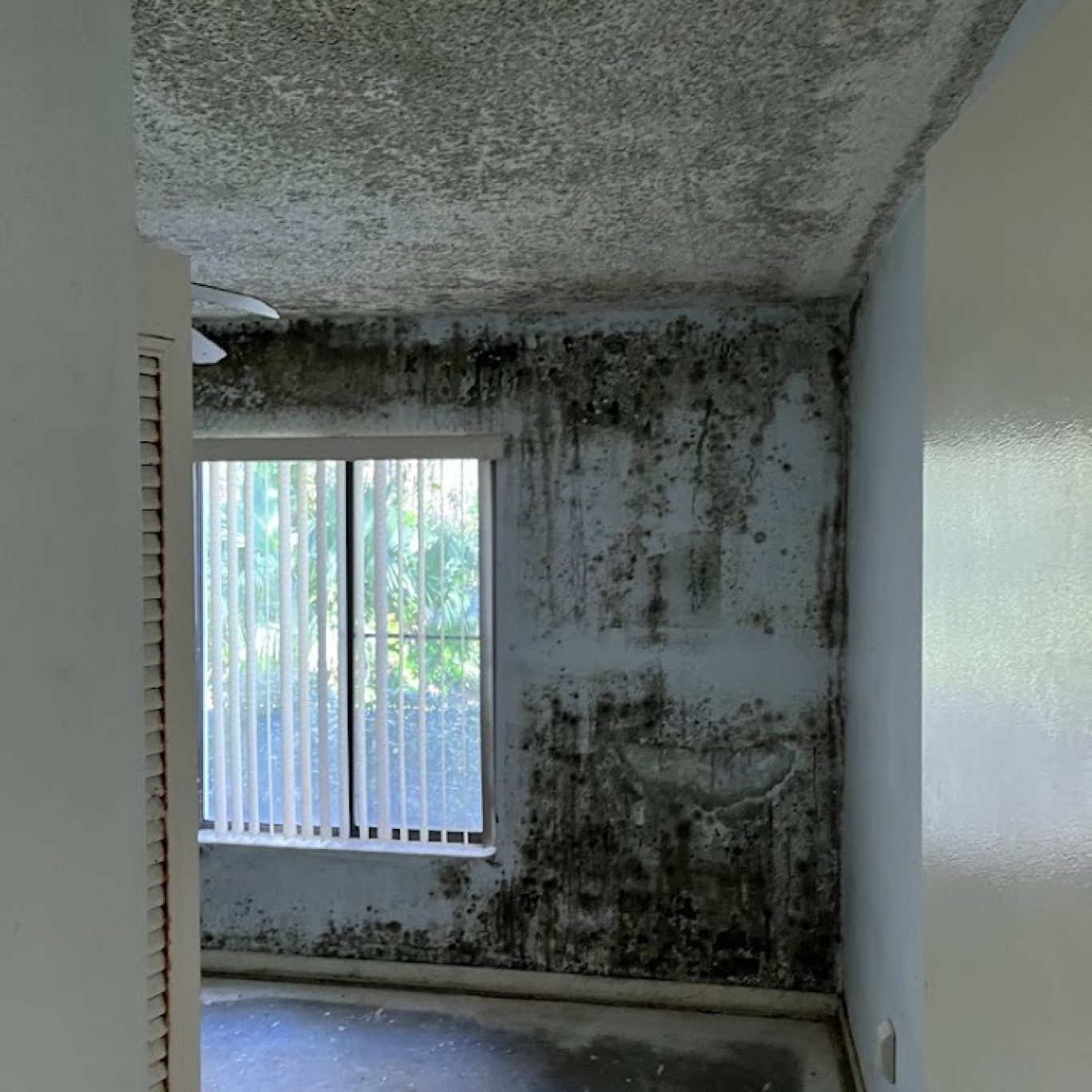 1-800 Dry Me Out odor control treatment