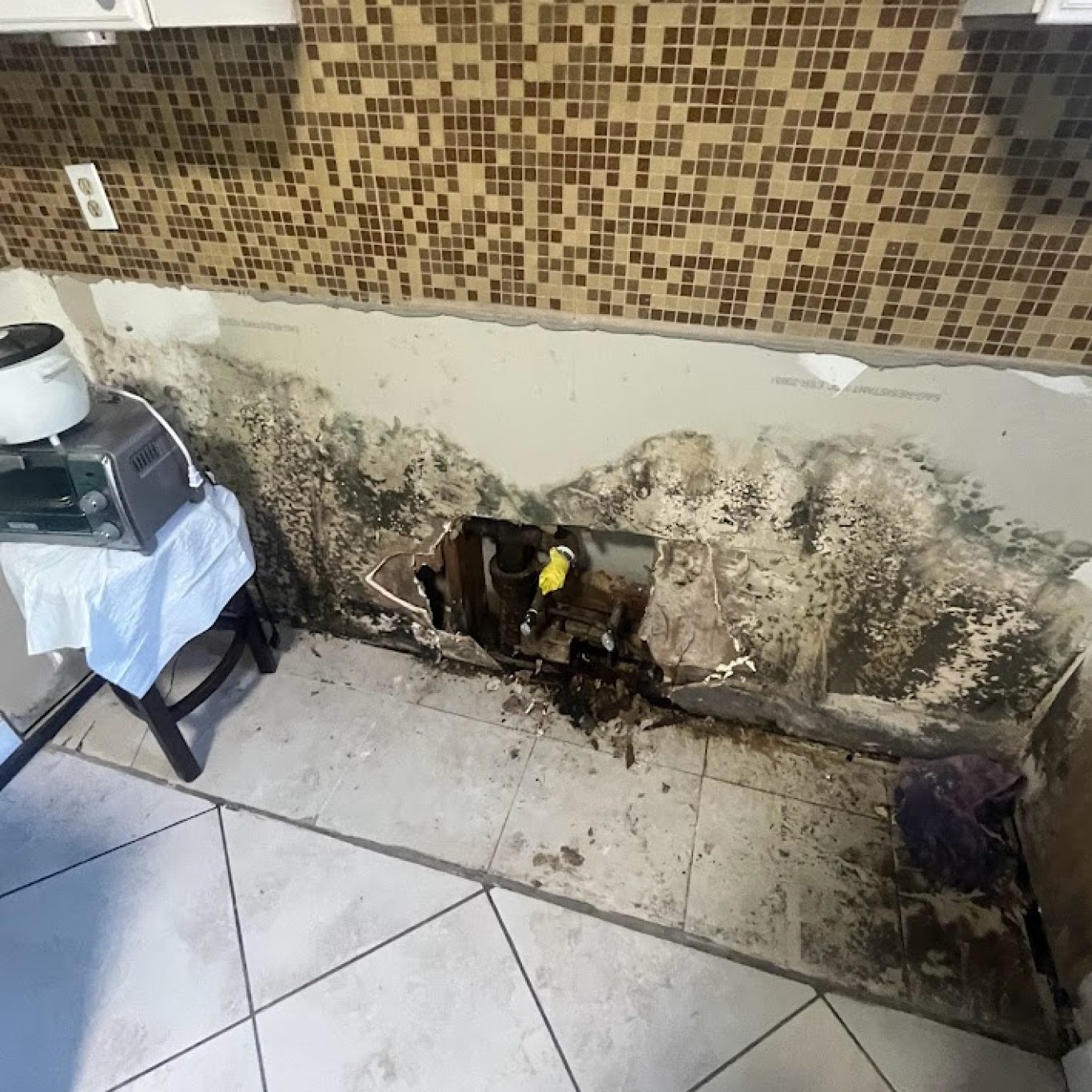 1-800 Dry Me Out mold remediation process