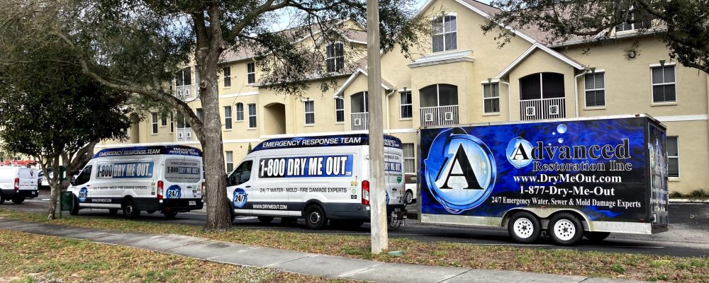 What Are the Top Benefits of Hiring a Water Damage Restoration Professional? - Dry Me Out