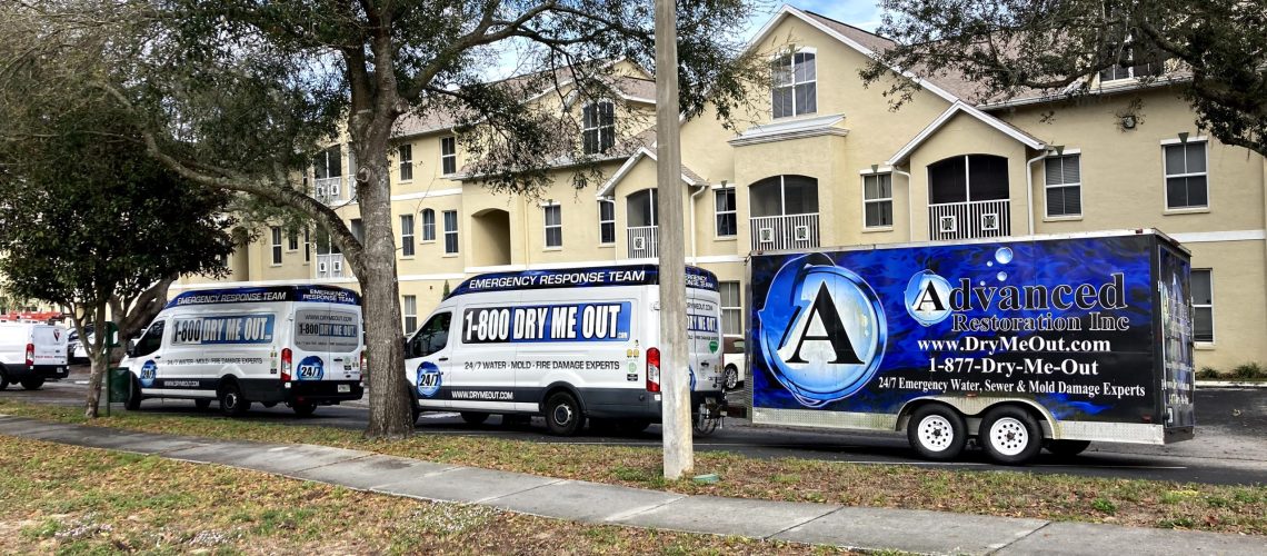 What Are the Top Benefits of Hiring a Water Damage Restoration Professional? - Dry Me Out