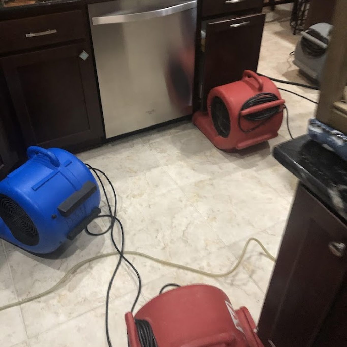 1-800 Dry Me Out mold remediation process