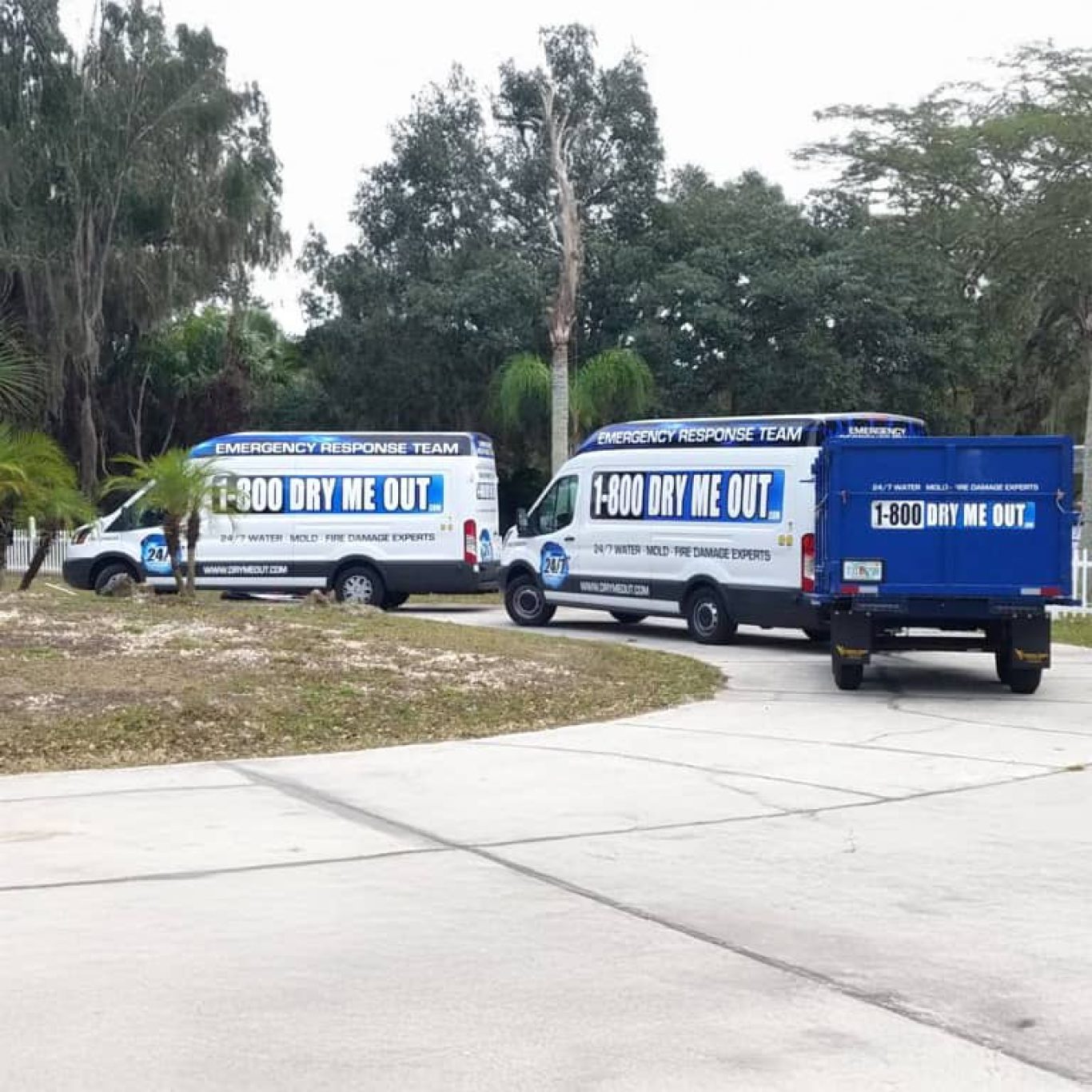 Why Choose 1-800-drymeout for Expert Mold Remediation in Tampa, FL