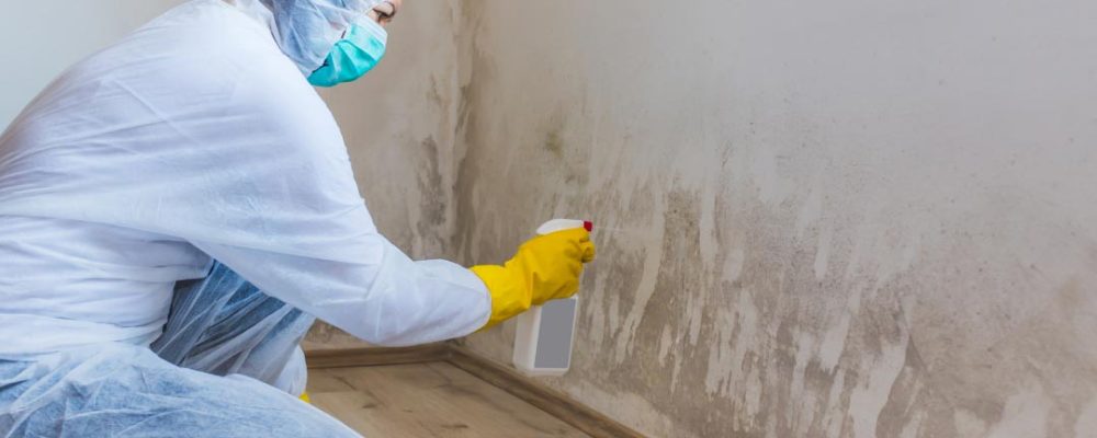 Mold Remediation - Dry Me Out