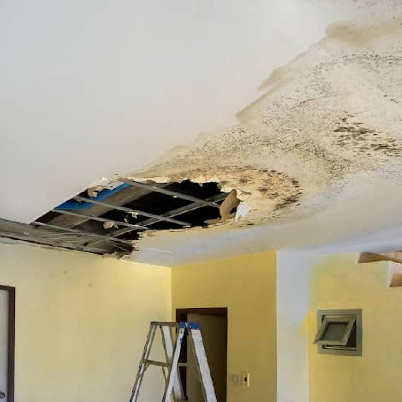 Water Damage Restoration in Tampa, FL