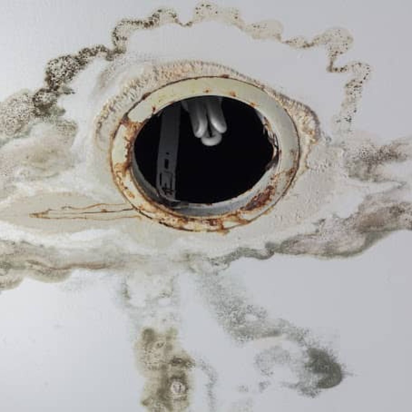 Water Damage Restoration Near Me